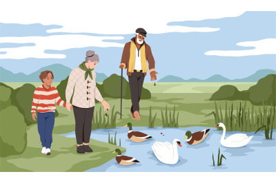 People feed ducks. Swans and drakes in the pond, walking grandfather,