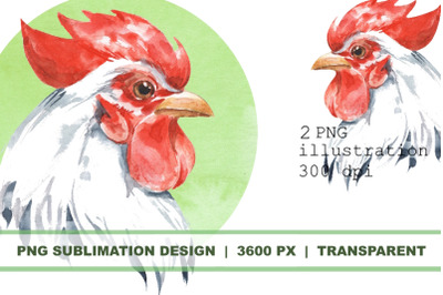 Rooster. Watercolor Sublimation PNG