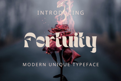 Fortuity - Modern Unique Typeface