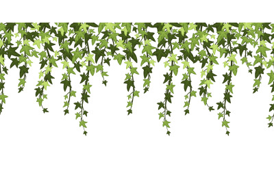 Green ivy plant branches background. Hanging vine with leaves, floral