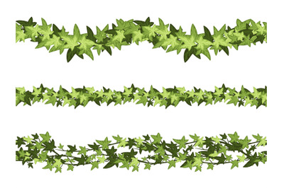 Seamless green ivy horizontal dividers. Botanical border, climbing vin