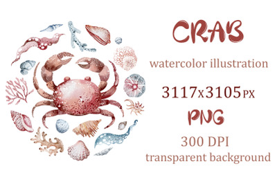 Crab illustration | Sublimation design | Sea animals