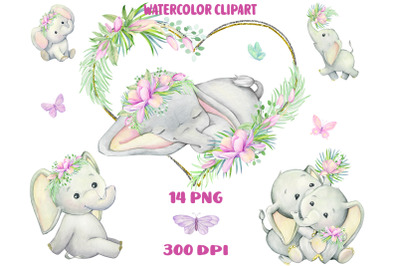 Baby elephant watercolor clipart, girl wall art, pink flowers, butterf