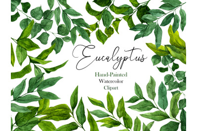 Eucalyptus Watercolor Floral Clipart with Individual Elements. Vibrant