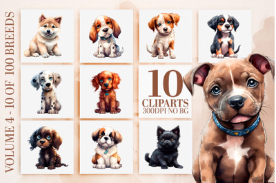 Charming Dog Breeds Clipart Bundle - Watercolor PNG