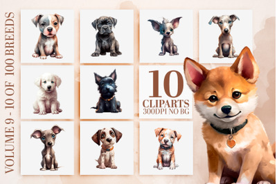 Charming Puppy Breeds Clipart Bundle - Watercolor PNG