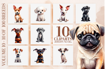 10 Dog Breeds PNG Watercolor Puppy Clipart - Sublimation Art