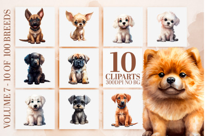 Watercolor Puppy Clipart - 10 Dog Breeds PNG Sublimation Art