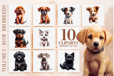 Watercolor Dog Breeds Clipart Bundle, Cute Puppies PNG Files