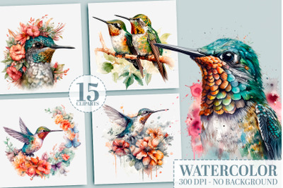 Hummingbird PNG Bundle&2C; 15 Watercolor Bird Clipart Images