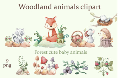 Woodland animals clipart. Forest cute baby animals clipart