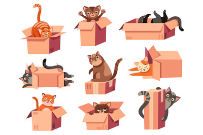 Cat hiding in box. Cartoon cute domestic animal hides in cardboard pac