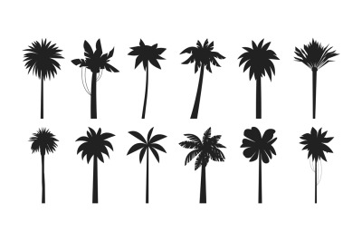 Black palm trees. Exotic summer sea coast plant, coconut and banana tr