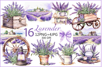 lavender provence| Watercolor lavender clipart| lavender png