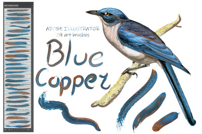 Blue &amp; Copper Illustrator Brushes