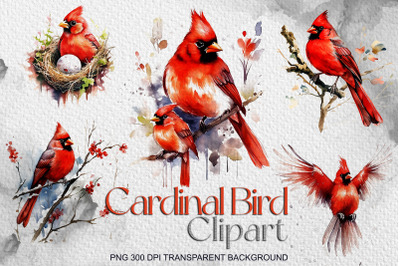 Watercolor Cardinal Bird Clipart BUNDLE