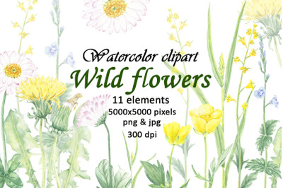 Watercolor Clipart Flowers Illustration for Art Design PNG