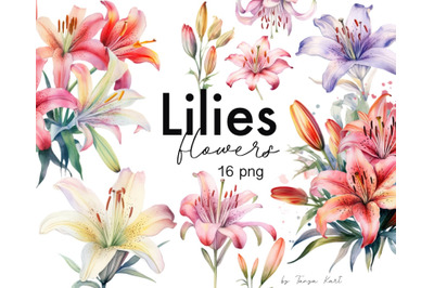 Watercolor Lilies Flowers Png Clipart