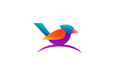 BIRD LOGO vector design template