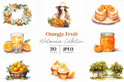 Orange Fruit Watercolor Collection