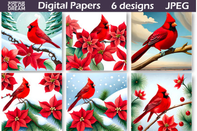 Cardinal Poinsettia Digital Paper | Christmas Illustration