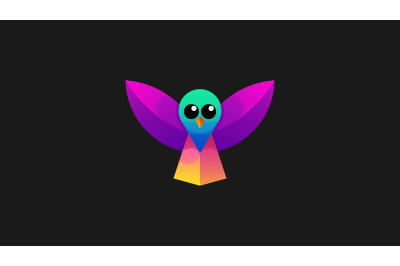 colorful bird logo vector design template