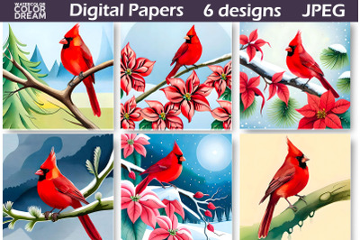 Cardinal Digital Paper | Cardinal Illustration
