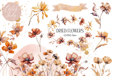 Watercolor Dried Flower Clipart Set