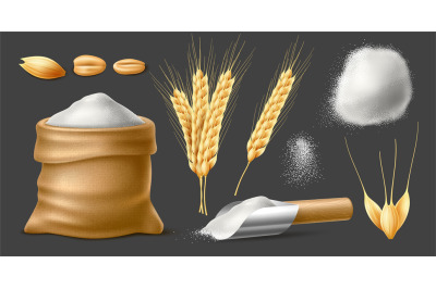 Realistic wheat products. Agricultural grain crop, isolated spikelets,