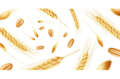 Realistic wheat ears background. Flying ripe spikelets with grains and