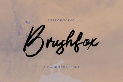 Brushfox