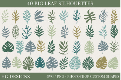 Big Leaf Shapes SVG Collection
