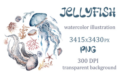 Illustration of jellyfish | sublimation design