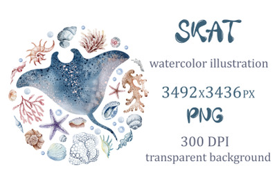 Skat illustration | Sublimation design | sea creatures