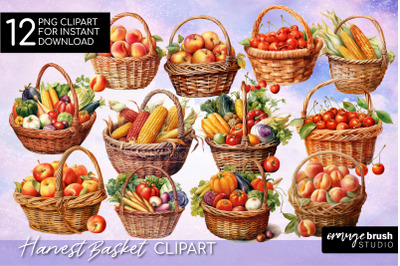 Fall Harvest Clipart Bundle, Watercolor Autumn Clipart PNG
