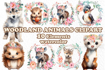 Woodland animals, watercolor clipart, FOREST ANIMALS,