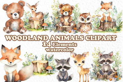 Woodland animals, watercolor clipart, FOREST ANIMALS