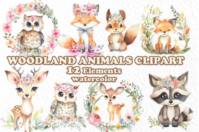 Woodland animals watercolor clipart