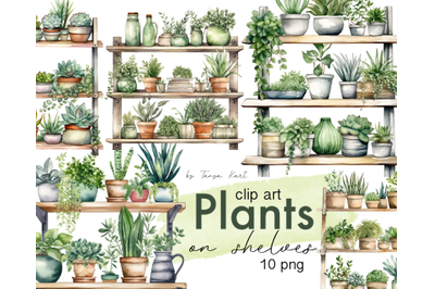 Plants On Shelves Watercolor Clipart