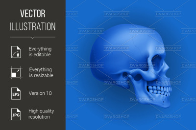 Human Skull