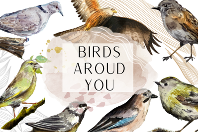 Watercolor Birds Clip Arts and Cards