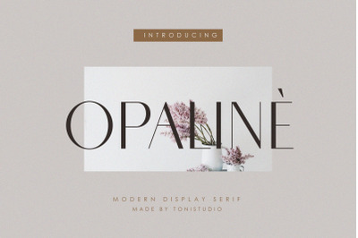 Opaline |  beautiful typeface