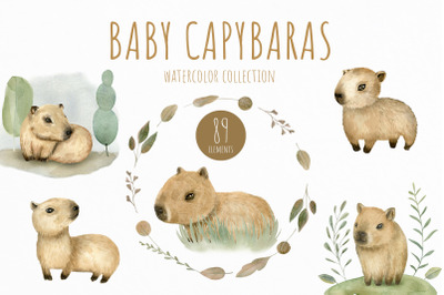 Baby Capybaras Watercolor Set