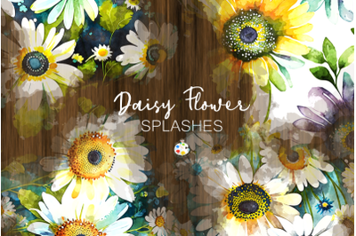 Watercolor Daisy Flower Country Splashes PNG Files