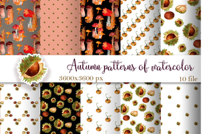 Pumpkins &amp; Fall Digital Papers, Autumn Patterns Backgrounds