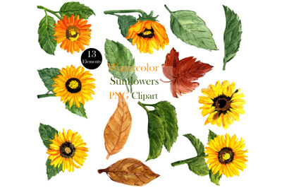 Watercolor Sunflower Clipart Collection