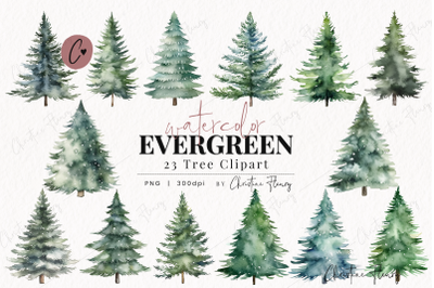 23 Watercolor Evergreen Clipart