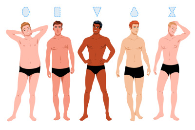 Male figures types. Different ratio of volume of chest, waist and hips