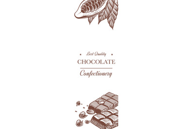 Cocoa and chocolate banner. Sweet product and plant with leaves. Sketc