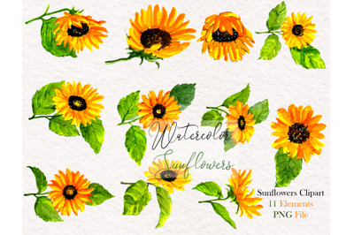 Watercolor Sunflower Elements Clipart   Sunflowers elements